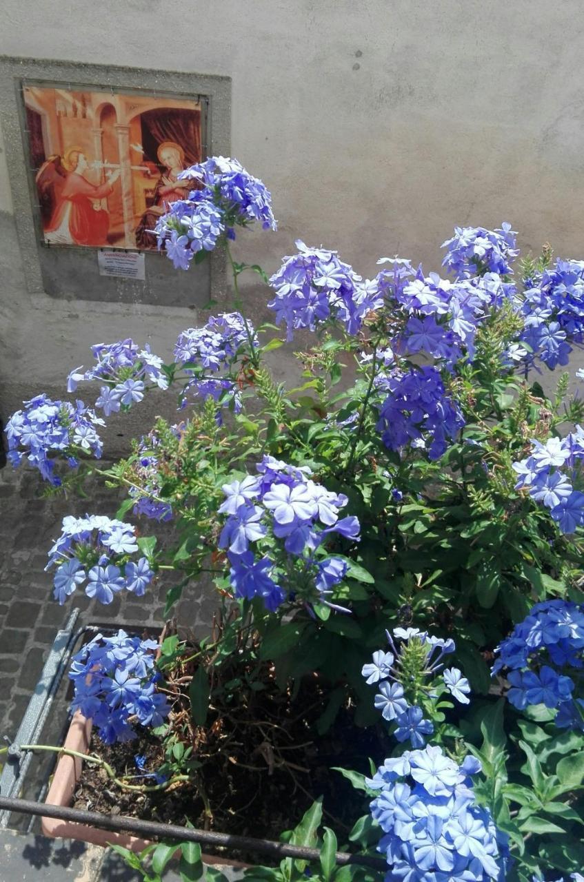 Palazzetto Bentivoglio Villa Sassoferrato Exterior foto